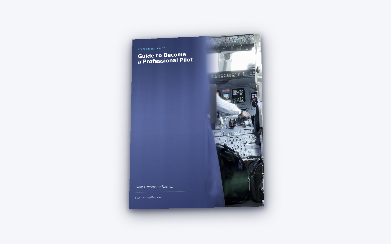 The Guide to Become a Professional Pilot PDF